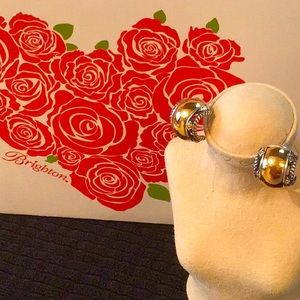 ❤️Brighton Hoop Earrings (retired)